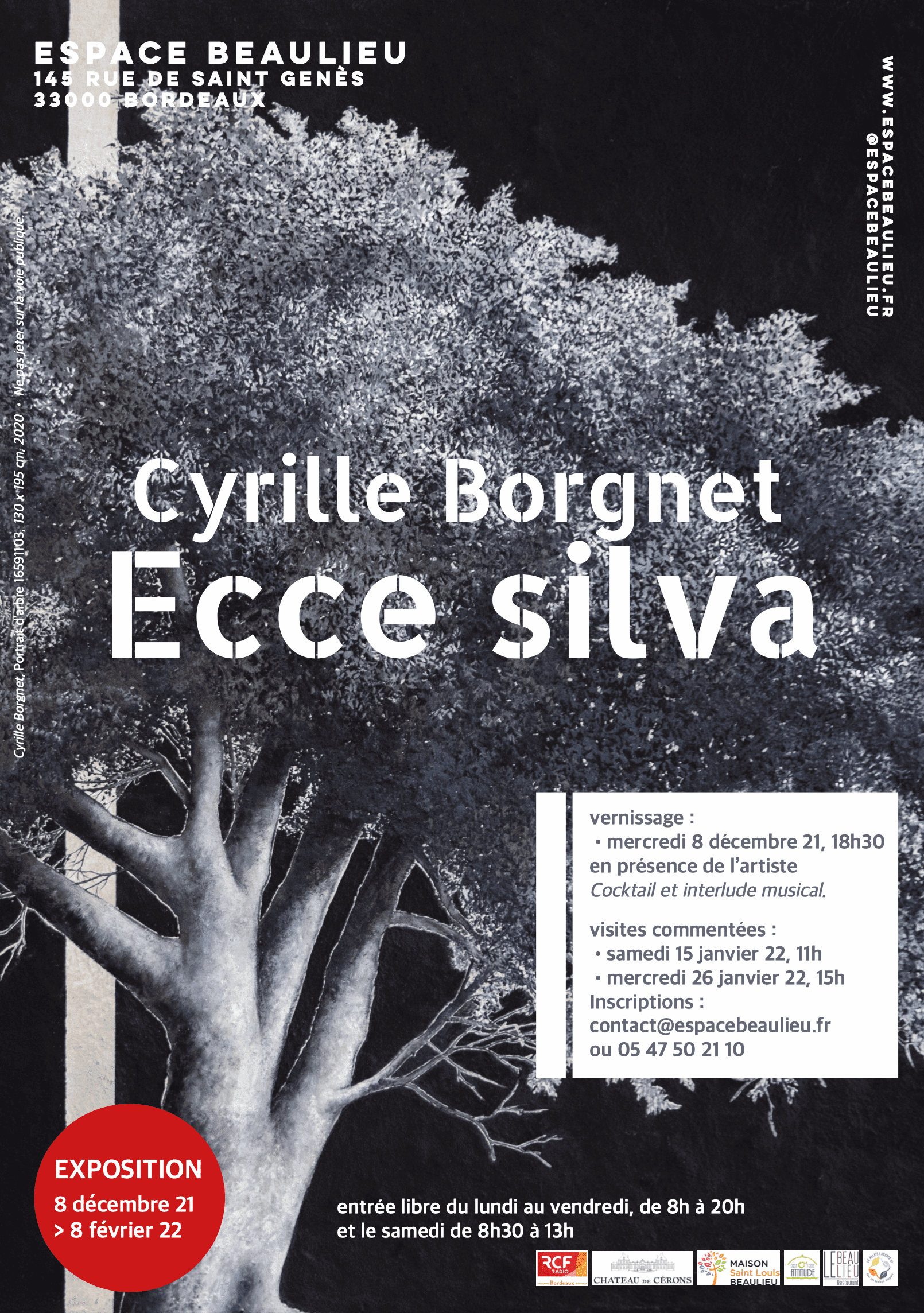 Visite commentée de l’exposition Cyrille Borgnet, “ECCE SILVA”